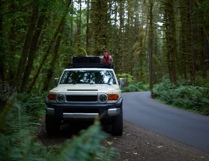 Does The Top Of An FJ Cruiser Come Off?