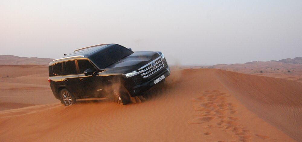 Who Are the Tampa Cruisers and What Do They Drive