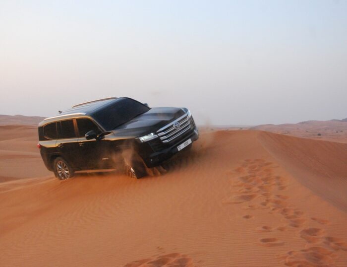 Who Are the Tampa Cruisers and What Do They Drive